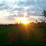 Puri Menoreh Hotel&Restaurant