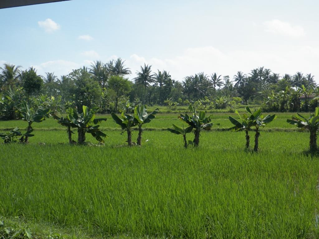 Puri Menoreh Hotel&restaurant Hotel